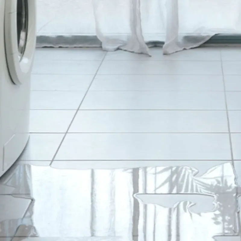 Appliance Leak Cleanup in Westminster, CA